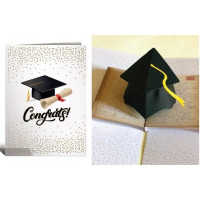 ČESTITKA ORIGAMI 3D DIPLOMA