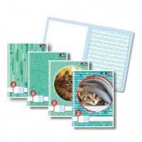 ZVEZEK TAKO LAHKO A4 P1