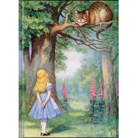 BELEŽKA A5 ALICE IN MAČKA