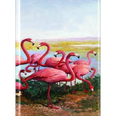BELEŽKA A5 FLAMINGOS