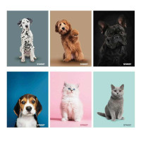 ZVEZEK STREET FRIENDS A4 KARO 54L