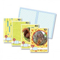 ZVEZEK TAKO LAHKO A4 P6 11MM