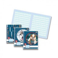 ZVEZEK TAKO LAHKO B5 P4